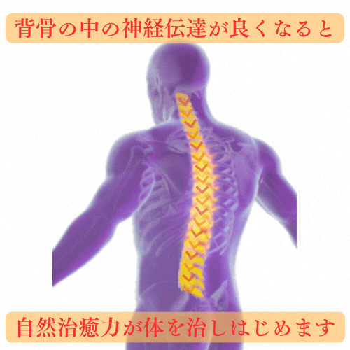 神経伝達の改善